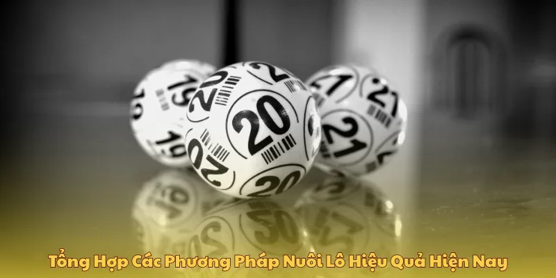 Người chơi nắm rõ cách nuôi khung theo ngày hiệu quả